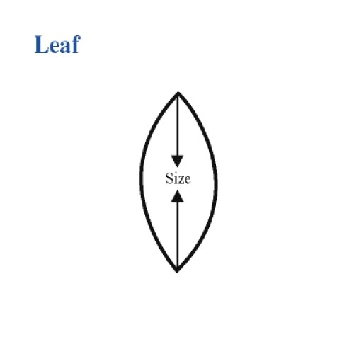 Leaf Shape